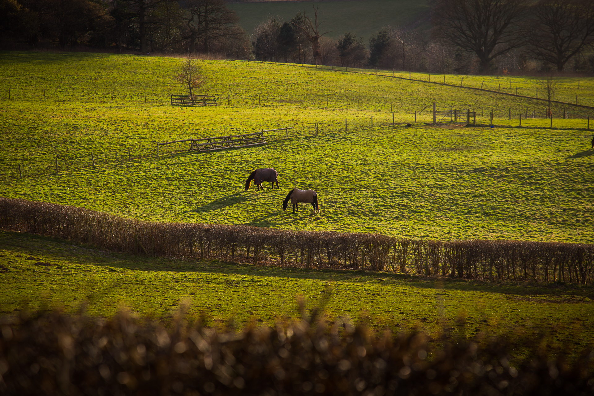  All photos copyright: Slades Farm | Alex Stanhope  