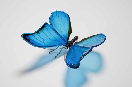 Blue Morpho - Laura Hart - Hart Glass