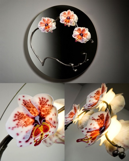 Orchid-Mirror---Image-compilation